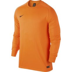 Bejsbolówki męskie: Bluza Bramkarska Nike Park Goalie II LS (588418-803)
