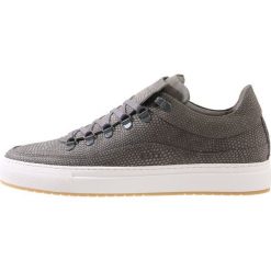 Tenisówki męskie: Nubikk JULIEN MIELE LIZARD Tenisówki i Trampki grey lizard