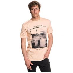 Quiksilver T-Shirt Wave Party Ss Peach Parfait eqyzt04948-mef0 (Rozmiar Xl). Pomarańczowe t-shirty męskie marki Quiksilver, xl. W wyprzedaży za 81,00 zł.