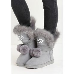 Szare Śniegowce Ice Queen. Szare buty zimowe damskie Born2be, z futra. Za 99,99 zł.