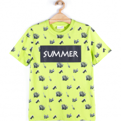Koszulka. Zielone t-shirty chłopięce marki BASIC BOY, z napisami, z bawełny, z długim rękawem. Za 24,90 zł.