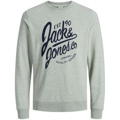 Jack&Jones Męska bluza Jorbreeze Sweat Crew Neck Iceberg Green (rozmiar L). Zielone bluzy męskie Jack&Jones, m, bez wzorów, bez kołnierzyka, bez rękawów, bez kaptura. W wyprzedaży za 84,00 zł.