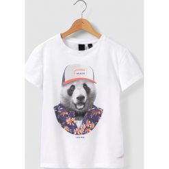 Odzież chłopięca: T-shirt z nadrukiem „niedźwiedź” 8 – 16 lat