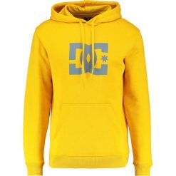 Bluzy męskie: DC Shoes STAR Bluza z kapturem old gold/fired brick