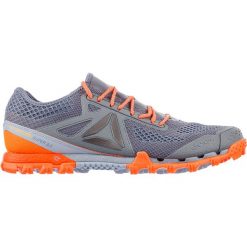 Buty sportowe męskie: buty do biegania męskie REEBOK ALL TERRAIN SUPER 3 / BD2168