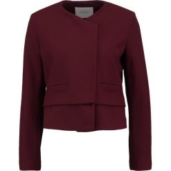 Bomberki damskie: IVY & OAK Kurtka wiosenna merlot