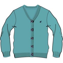 North Pole Sweter Chłopięcy 104 Jasnoniebieski. Niebieskie swetry chłopięce North Pole, bez wzorów, bez kołnierzyka. Za 125,00 zł.