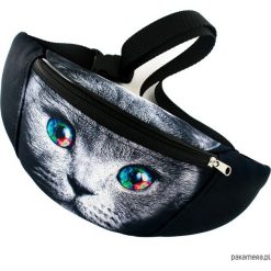 Torebki klasyczne damskie: Saszetka CHERRISH Rainbow Cat
