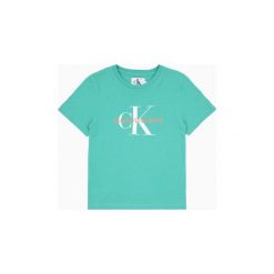 T-shirty z krótkim rękawem Dziecko Calvin Klein Jeans IB0IB00213 MONOGRAM TEE. Zielone t-shirty chłopięce Calvin Klein Jeans, bez wzorów, z jeansu, z krótkim rękawem. Za 152,19 zł.