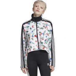Adidas Originals Allover Bluza Biały. Białe bluzy damskie adidas Originals, s, bez wzorów, z bawełny, bez rękawów, bez kaptura. Za 283,95 zł.
