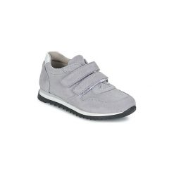 Buty Dziecko Citrouille et Compagnie SYMPAT. Szare trampki chłopięce marki Citrouille et Compagnie, bez wzorów, bez zapięcia. Za 116,35 zł.