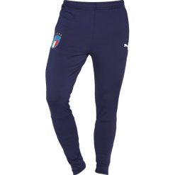 Koszulki sportowe męskie: Puma FIGC ITALIEN TRAINING Koszulka reprezentacji peacoat