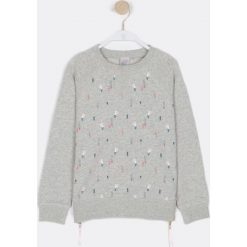 Bluzy dziewczęce: Bluza ze wzorem w kaktusy 6 – 16 lat