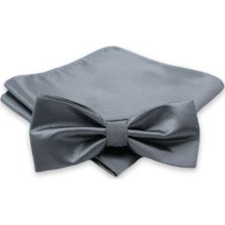 Elegancka mucha i poszetka Alties MUALTS0039. Szare muszki męskie Alties, na imprezę, w paski, eleganckie. Za 40,00 zł.