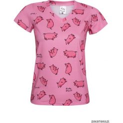 T-shirt Pink pigs. Różowe t-shirty damskie Pakamera, bez wzorów, bez kołnierzyka. Za 85,00 zł.