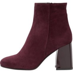 Botki damskie: Scapa FANNY Botki red