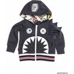 Bluzy chłopięce: DIAVOLO HOODIE NAVY bluza