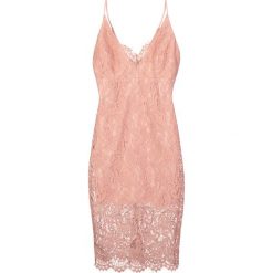 Sukienki hiszpanki: Bardot PENCIL Sukienka koktajlowa rose
