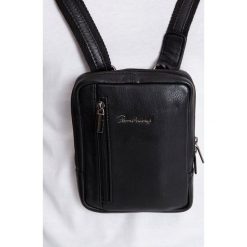 Skórzana saszetka męska torba na ramię listonoszka MODEL 778-NDM PA BLACK. Czarne torby męskie skórzane PIERRE ANDREUS, w paski, ze skóry, eleganckie, na ramię, małe. Za 201,90 zł.