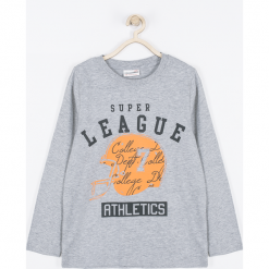 Koszulka. Szare t-shirty chłopięce z nadrukiem marki BASIC BOY, z bawełny, z długim rękawem. Za 29,90 zł.