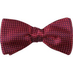 Muchy męskie: Eton Mucha red