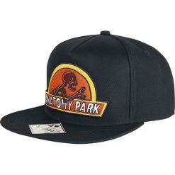 Czapki damskie: Rick And Morty Anatomy Park Czapka Snapback czarny