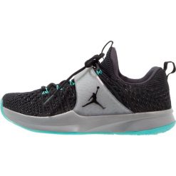 Buty skate męskie: Jordan TRAINER 2 FLYKNIT Obuwie treningowe wolf grey/cool grey