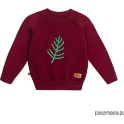 Bluzy chłopięce: Bluza flora 03