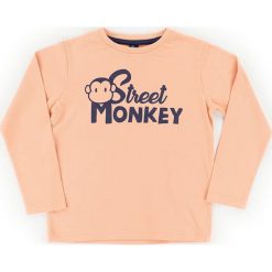 Koszulka w kolorze pomarańczowym. Brązowe t-shirty chłopięce z długim rękawem Street Monkey, z nadrukiem, z bawełny. W wyprzedaży za 32,95 zł.