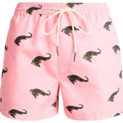 Kąpielówki męskie: Oas CORAL CROCODILE Szorty kąpielowe pink