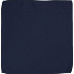 Elegancka, Męska Poszetka - ALTIES - Granat POSZALTTANIA0149. Niebieskie poszetki męskie Alties, bez wzorów, z materiału, eleganckie. Za 16,90 zł.