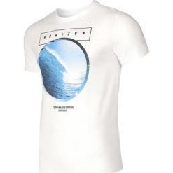 T-shirty męskie: T-shirt męski TSM293 – biały