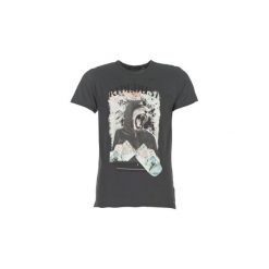 T-shirty z krótkim rękawem Deeluxe STREETLION. Szare t-shirty męskie marki Deeluxe, s, bez wzorów, bez kołnierzyka, krótkie. Za 71,20 zł.