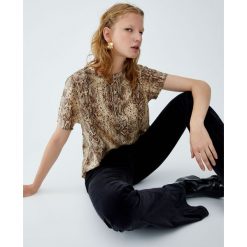 Koszulka z nadrukiem węża. Szare t-shirty damskie marki Pull&Bear, z nadrukiem. Za 29,90 zł.
