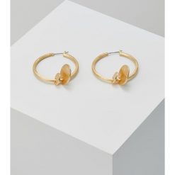 Kolczyki damskie: Rebecca Minkoff MEDALLION HOOP EARRINGS Kolczyki goldcoloured