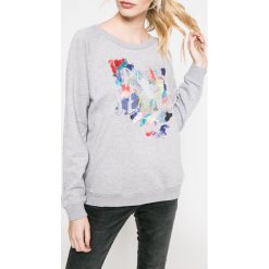 Pepe Jeans - Sweter. Szare swetry klasyczne damskie marki Pepe Jeans, s, z nadrukiem, z bawełny, z okrągłym kołnierzem. W wyprzedaży za 159,90 zł.