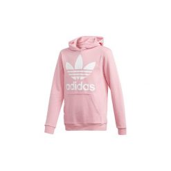 Bluzy chłopięce: Bluzy Dziecko adidas Bluza z kapturem Trefoil