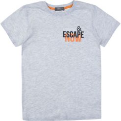 TXM t-shirt chłopięcy 140 JASNY SZARY MELANŻOWY. Szare t-shirty chłopięce TXM, bez wzorów, bez rękawów. Za 12,99 zł.