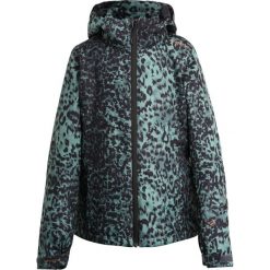 Brunotti PHOEBE Kurtka snowboardowa forest green. Brązowe kurtki sportowe męskie marki Brunotti, z poliesteru, narciarskie. W wyprzedaży za 377,10 zł.