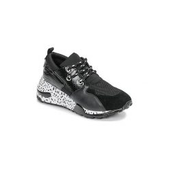 Buty Steve Madden CLIFF. Czarne trampki i tenisówki damskie Steve Madden, bez wzorów, bez zapięcia. Za 539,00 zł.