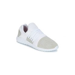 Tenisówki męskie: Buty Asfvlt AREA LUX