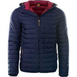 Kurtki sportowe męskie: IGUANA Kurtka męska PAKI Ombre Blue r. L