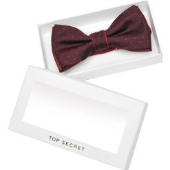 MUCHA MĘSKA W PUDEŁKU PREZENTOWYM. Czerwone muszki męskie marki Top Secret, bez wzorów, eleganckie. W wyprzedaży za 24,99 zł.