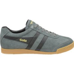 Trampki męskie: Buty sportowe Harrier