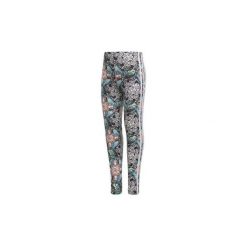 Legginsy i Rajstopy Dziecko adidas Legginsy Zoo. Szare legginsy dziewczęce Adidas. Za 99,95 zł.