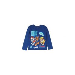 Bluzka chłopięca. Szare t-shirty chłopięce marki TXM, z nadrukiem, z bawełny, z długim rękawem. Za 13,59 zł.