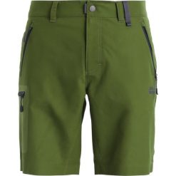 Spodenki i szorty męskie: Jack Wolfskin ACTIVE Krótkie spodenki sportowe cypress green