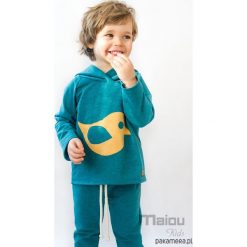 Bluzy chłopięce: Bluza Kanarek