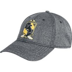 Czapki damskie: Harry Potter Hufflepuff Czapka Snapback odcienie szarego