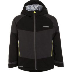 Regatta APTITUDE II Kurtka zimowa black/ash. Czarne kurtki sportowe męskie marki Regatta, na zimę, z poliesteru. W wyprzedaży za 191,40 zł.